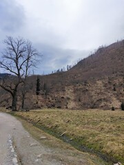  spring in the mountains, Tatras, Poland