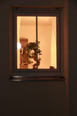 A window with a plant in it and a light shining through it - 751005351