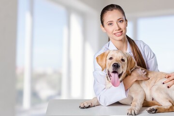dog at Veterinary Clinic on Vet Examine