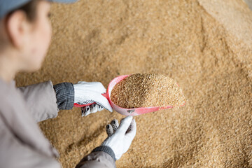 Woman using a scoop to collect soy husks in an animal feed warehouse