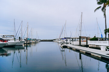 Obraz premium Bradenton, FL, USA - 03 02 2024: The landscape of Bradenton harbor and manatee river