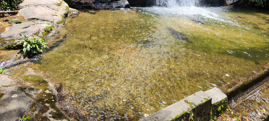 Forest vegetation ivy wall tree trunk leaves garden nature stone rock water waterfall fall pool park reserve protection healthy life vacation environment beautiful healthy