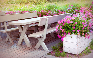Sunny summer garden with wooden furniture and blooming flowers