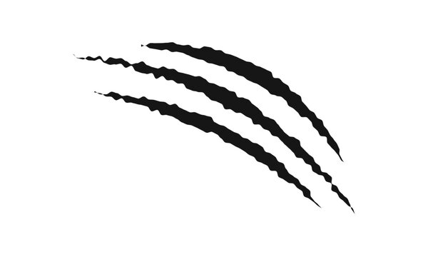 Scratch claw marks. Tiger, bear, wolf, panther, monster or dragon talons trail isolated on white background. Scary torn scars. Laceration trace. Vector graphic illustration.