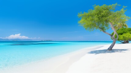 Tree on the a serene beach swith white sand, calm turquoise waves, and a picturesque island under a clear blue sky in the maldives.