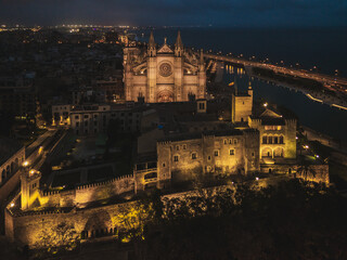Fototapeta na wymiar Night aerial drone photo of Cathedral de Mallorca