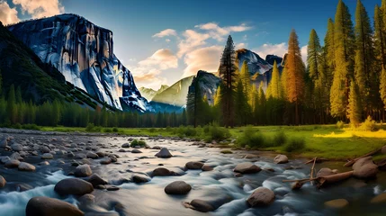 Foto auf Glas Panoramic view of the mountain river in the summer. Mountain landscape. © Iman