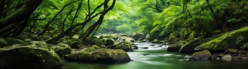 Foto auf Acrylglas a river flowing through a forest © sam