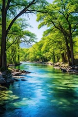 Naklejka premium a river with trees around it