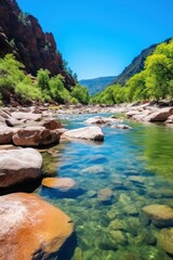 Fototapeta na wymiar a river with rocks and trees
