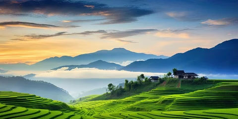 Poster Landscape of rice terrace and hut with mountain range background and beautiful sunrise sky. Nature landscape. Green rice farm. Terraced rice fields. Travel destinations in Chiang Mai, Thailand. © Влада Яковенко