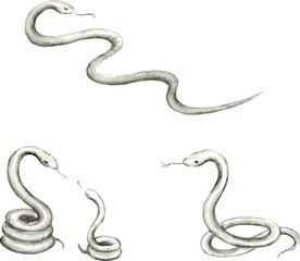 ヘビの水墨画風イラストセット
