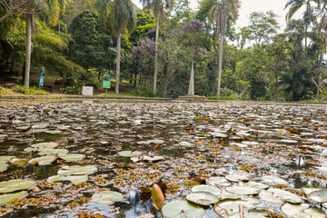 natural lake with water mirror and nature around. water mirror on a beautiful day in nature and in the open air.