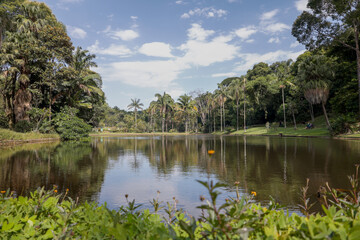 Fototapeta premium natural lake with water mirror and nature around. water mirror on a beautiful day in nature and in the open air.