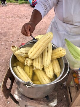 
Chola takes out a corn from a bucket where she cooks it