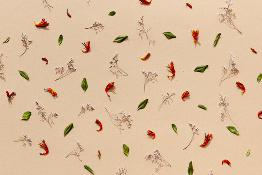 Autumn pattern with dried flowers, red petals and green leaves