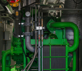 Heat and electricity through biogas with a combined heat and power plant