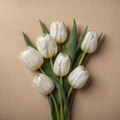 Bouquet of white tulips on a beige background