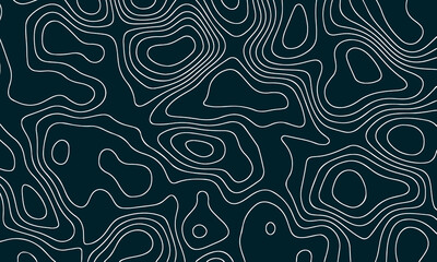 Vector pattern topographic map. Very suitable for mapping needs, background design, geology, geography, and so on