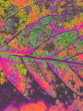 Luminous colorful leaf background.