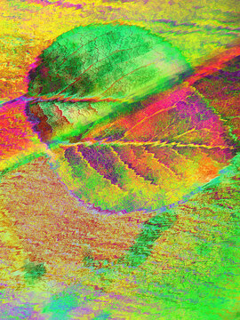 Fluorescent glitched green leaf on blurred background.