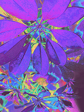 Colorful surreal psychedelic succulent floral background.