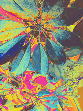 Colorful messy psychedelic succulent floral background.