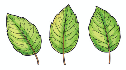 Leaf three leaves clipart isolated illustration isol