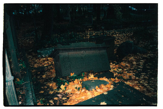 spooky cemetery in forest

