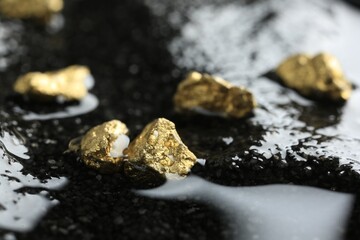 Shiny gold nuggets on wet stones, closeup
