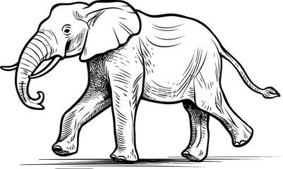 Handdrawn elephant outline drawing