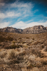 Desert Landscape in Mountains