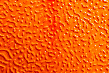 Close-up Orange Texture Abstract Background