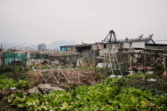 Rural China