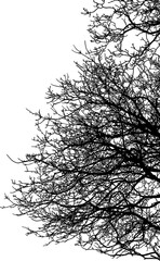 ramas, arboles, siluetas, vegetacion, roble, bosque, paisaje, vector, hojas, abstracto, sauce, tronco, malesa, pegatina