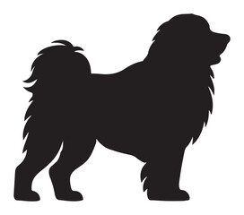 Black and white vector illustration of Akbash Dog.