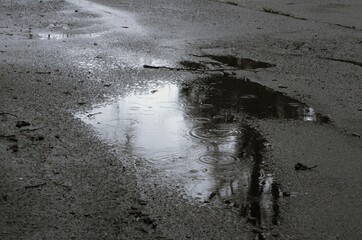 Angled view of puddle in asphalt, with disturbances on the surface from falling rain, in monochrome.