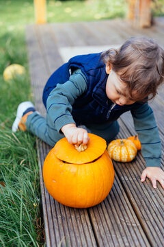 Pumpkin and a little kid