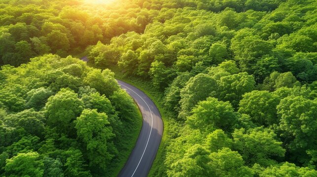 Aerial view of green forest with road © AITTHIPHONG