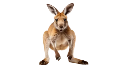 Raamstickers Kangaroo's Happy Jump on Transparent Background © Khaqan