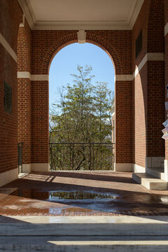 Johns Hopkins University 