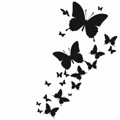 butterflies on a white background