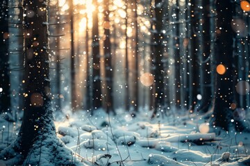 Sun Shining Through Snowy Forest