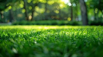 Gordijnen Green Grass Field With Background Trees © Ilugram