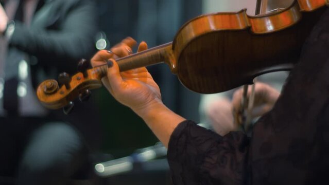 Violin fiddle player music instrument fingers close up