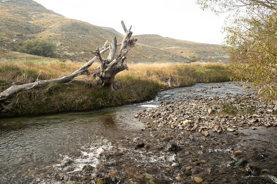 Autum river