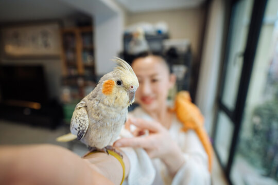 UGC selfie of young woman at home with her pets