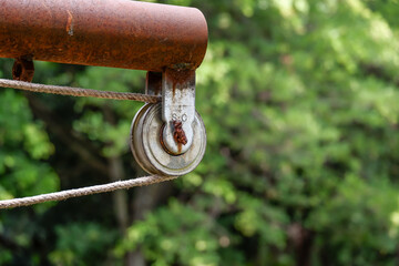 pulley hook dangling on beam pipe Rusty with rope in tree view