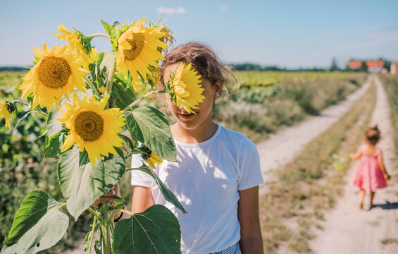 Sunflower Sisters: A Picture of Youth and Nature