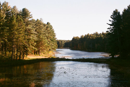 rural lanscape with ponds during sunset